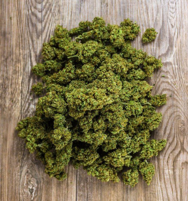 Orangello small buds - Fleur de CBD Indoor d'exception