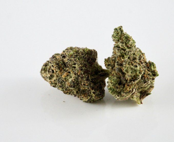 WHITE WIDOW - Fleur de CBD greenhouse