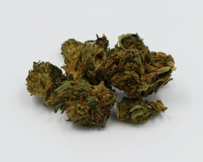 BZQUIN Fleur de CBD Greenhouse