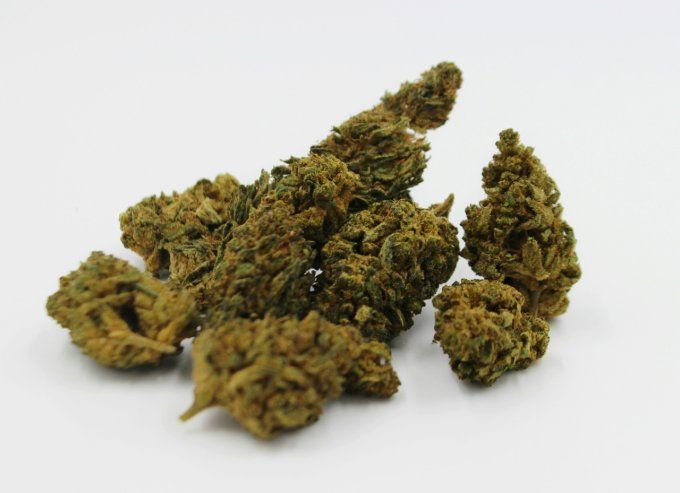 BZ1 - Fleur de CBD greenhouse