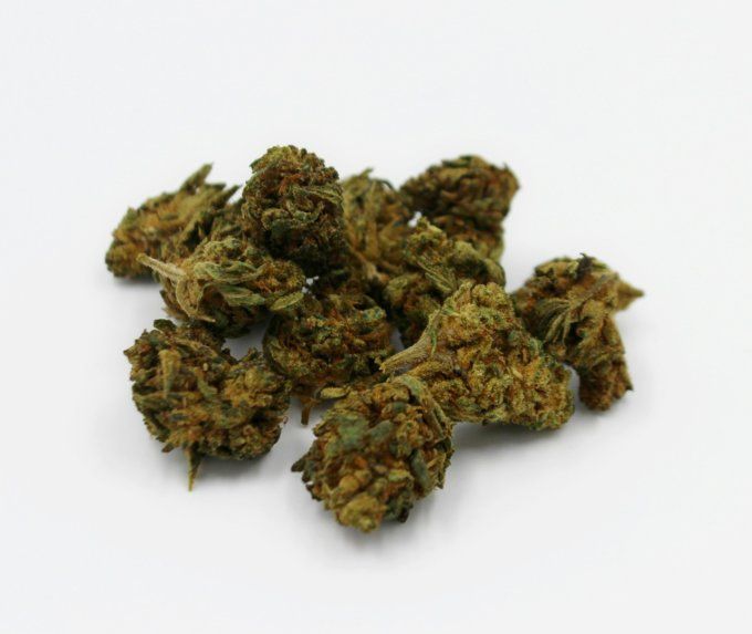 STRAWBERRY - Fleur de CBD greenhouse
