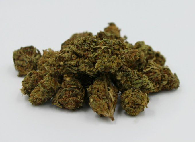 CANNATONIC - Fleur de CBD greenhouse