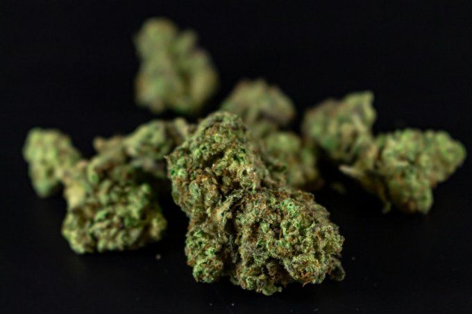 Dragon fruits - Fleur de CBD indoor qualité premium