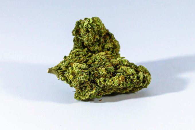 Gelato- Fleur CBD indoor