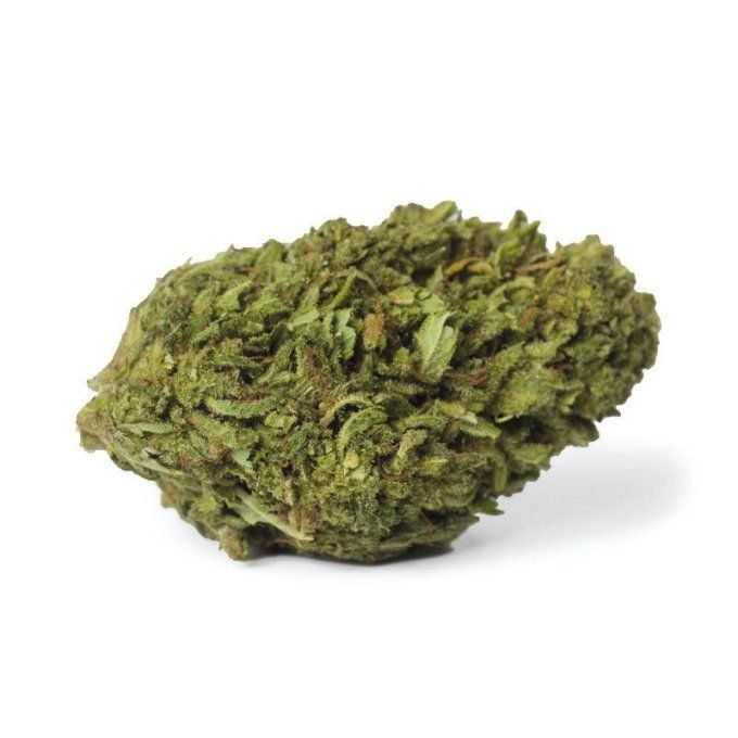PLUTONIUM - fleur green house boostée
