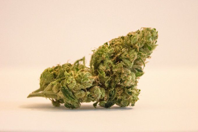 Jack Frost - Fleur de CBD indoor d'exception 